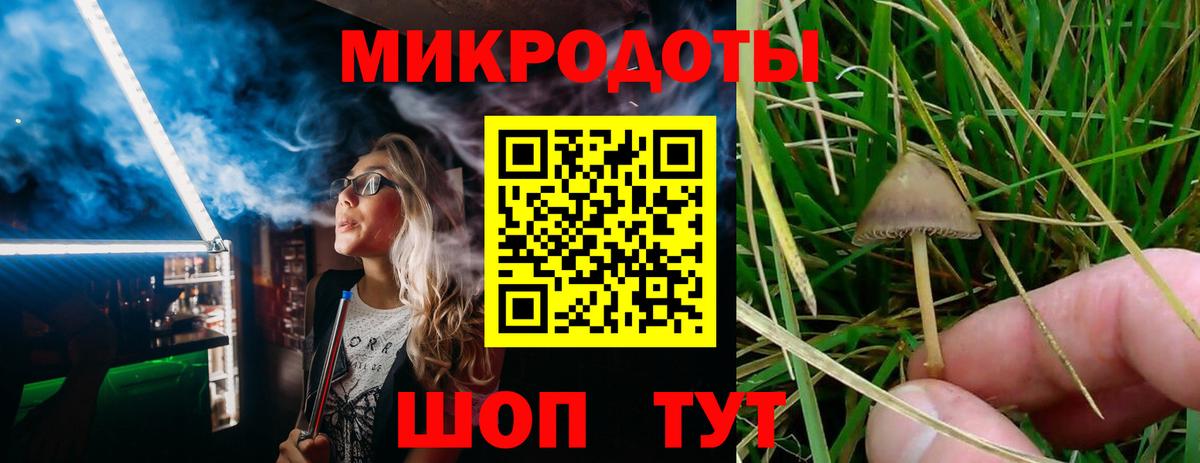 Дубна  Псилоцибиновые грибы Magic Shrooms  Вход с VPN 