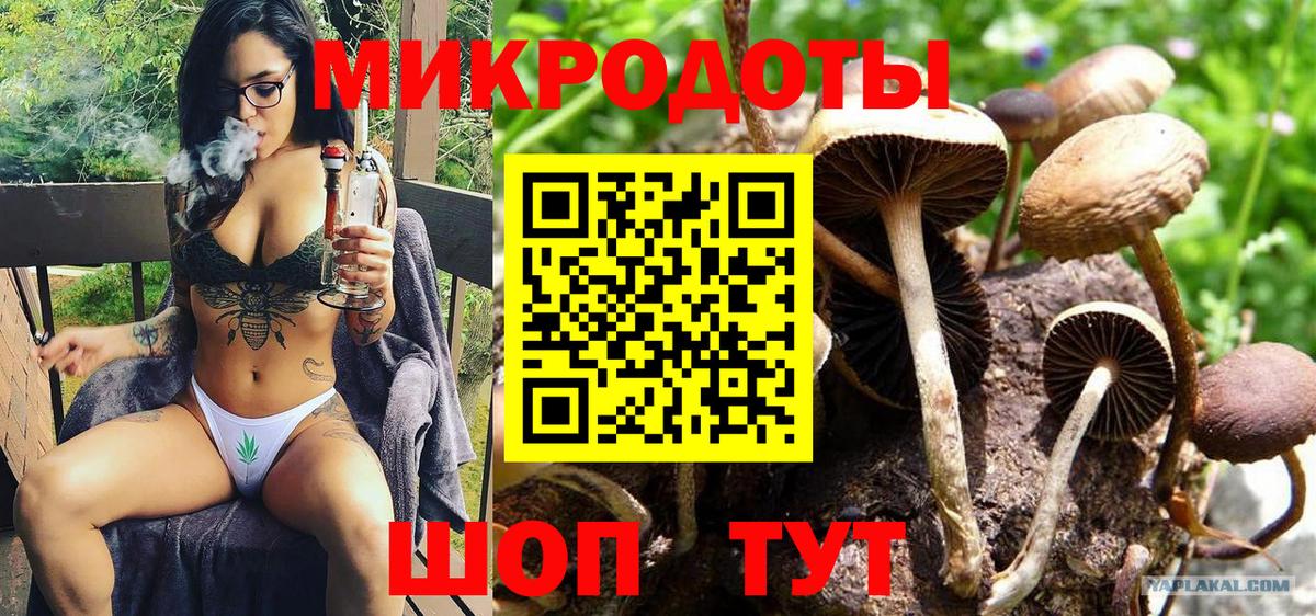 Галлюциногенные грибы Psilocybe Дубна